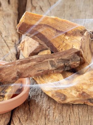 Palo Santo αγορα και πως το χρησιμοποιείς